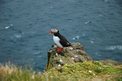 Grímsey photo location in Iceland